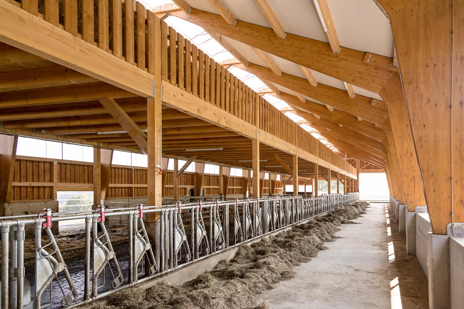 puchleitner-bau baufirma bauunternehmen baumeister feldbach mühldorf südoststeiermark Steiermark Landwirtschaft Stall Silo Güllegrube