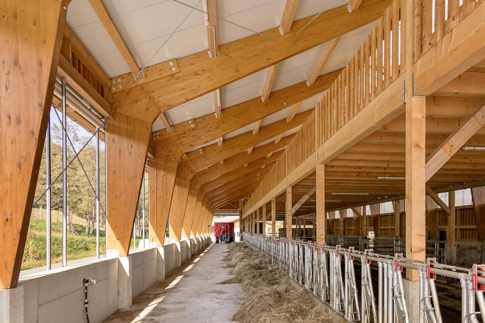 puchleitner-bau baufirma bauunternehmen baumeister feldbach mühldorf südoststeiermark Steiermark Landwirtschaft Stall Silo Güllegrube